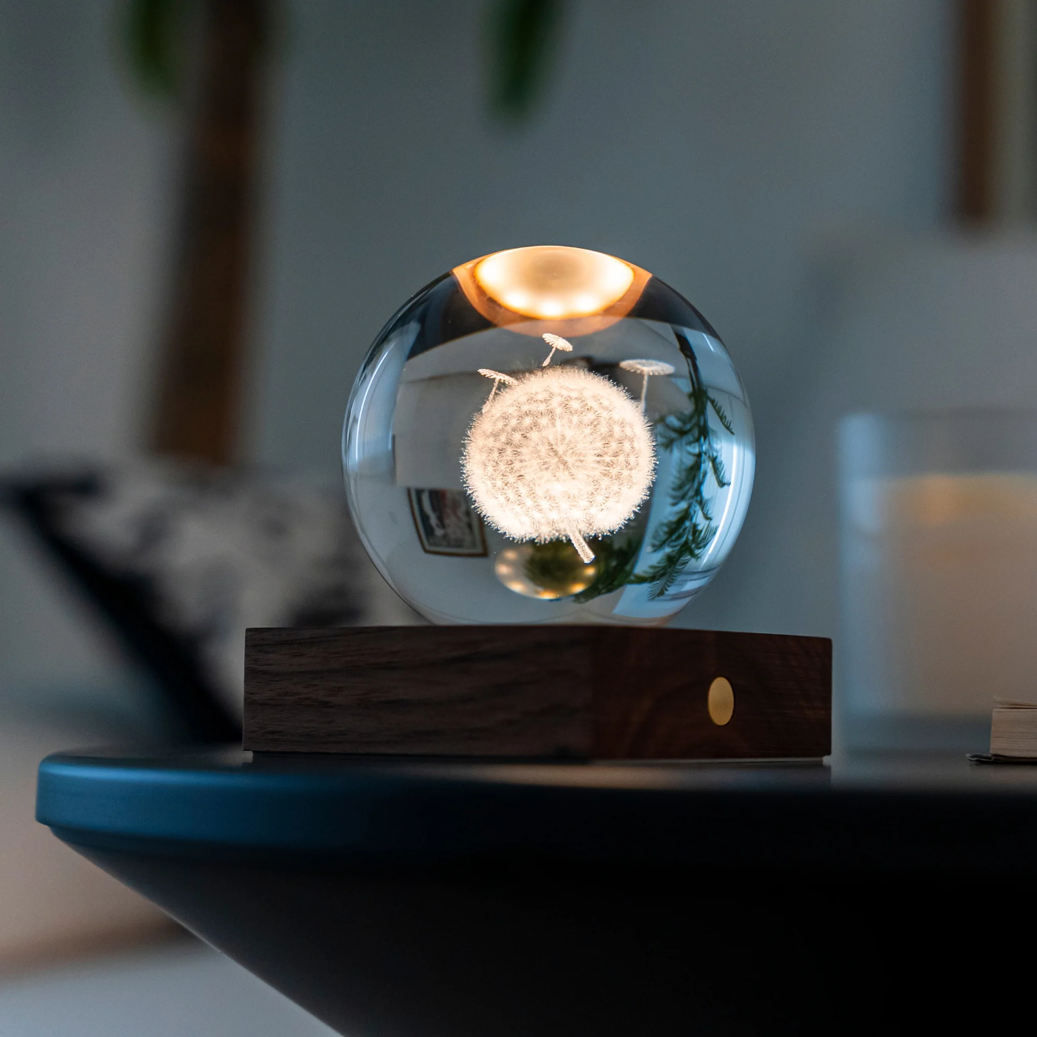 Gingko Design Amber Light 3D Laser - Dandelion