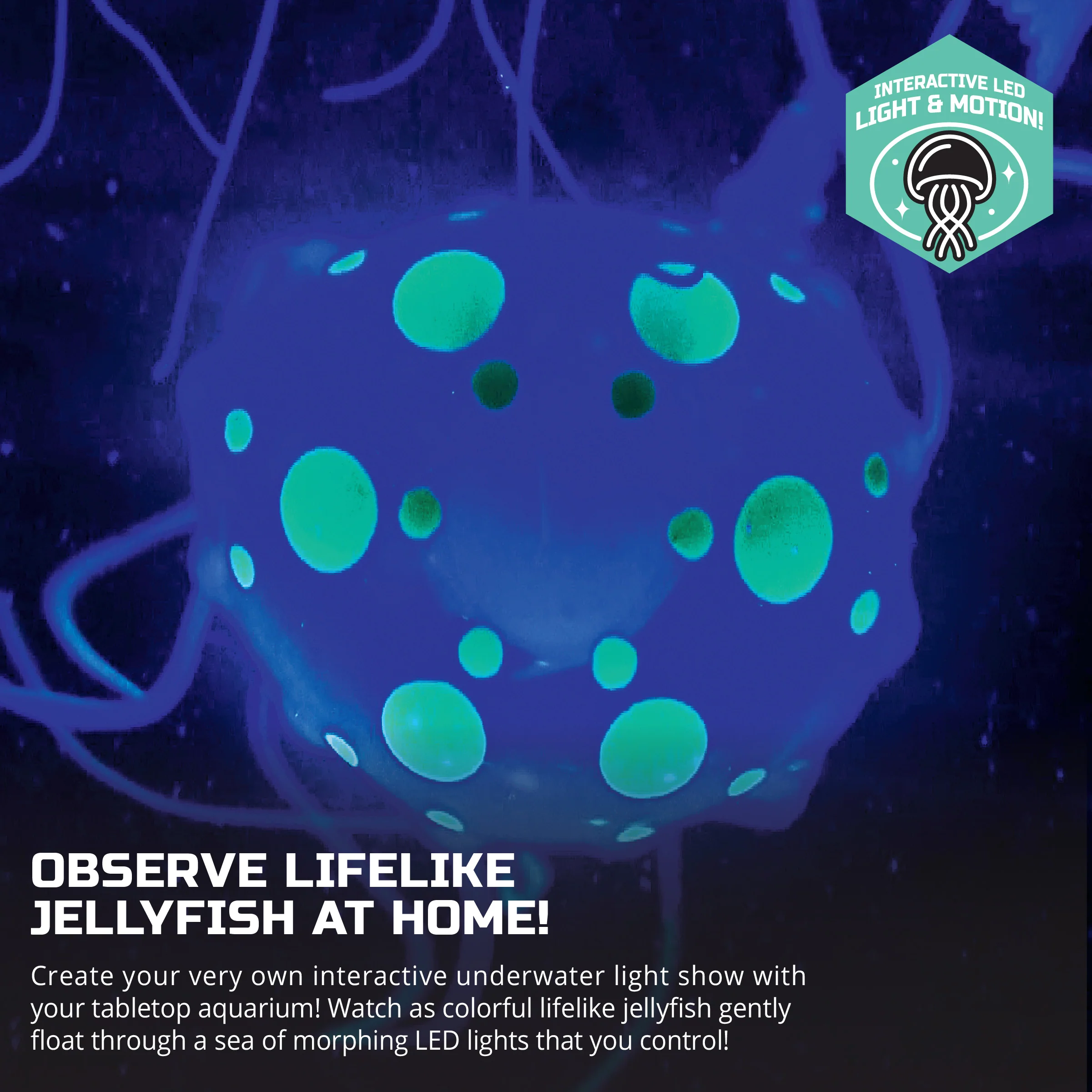 Discovery Jellyfish Aquarium Light - Image 4