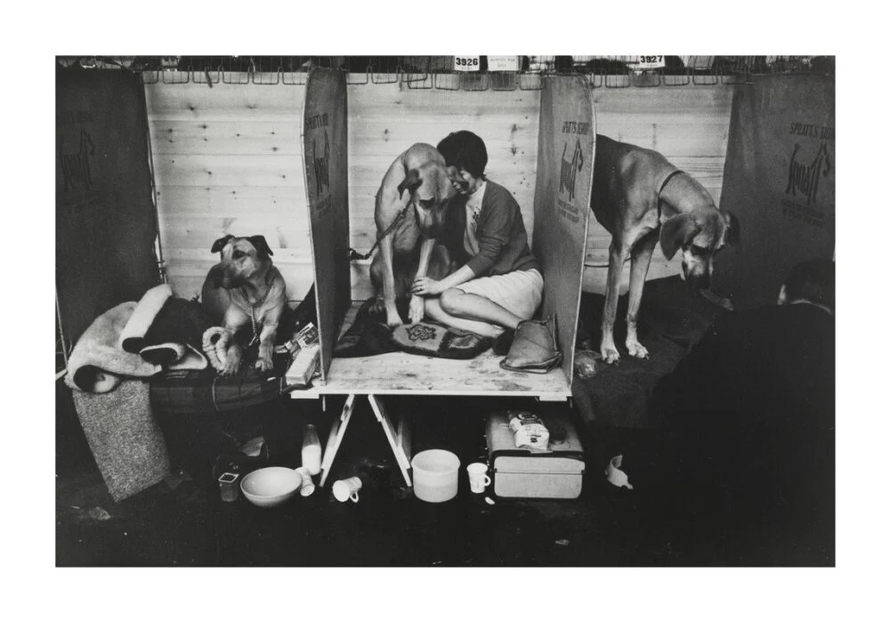 Cruft's Dog Show, London, 1966. - Image 30