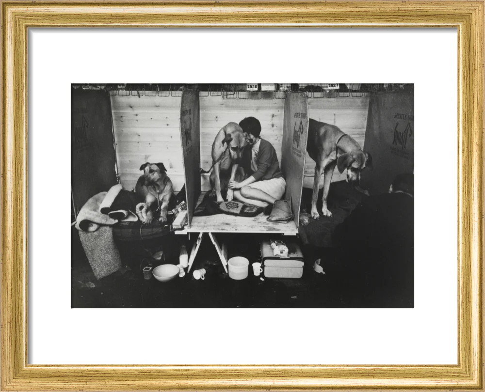 Cruft's Dog Show, London, 1966. - Image 38