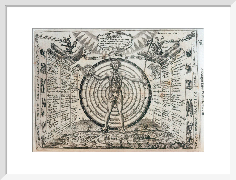 Astrological chart, 1646. - Image 14