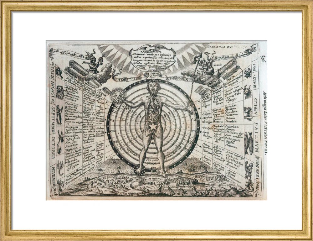Astrological chart, 1646. - Image 15