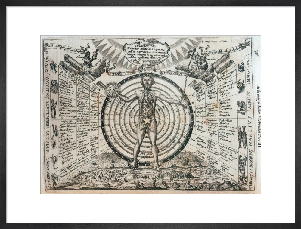 Astrological chart, 1646. - Image 18