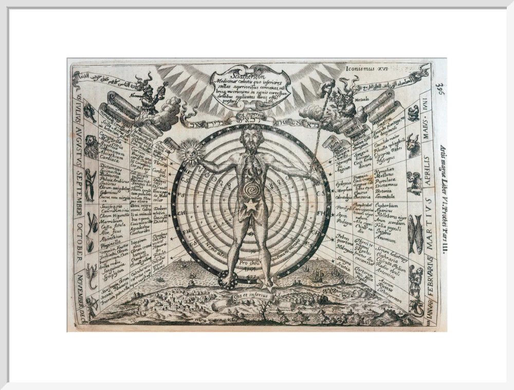 Astrological chart, 1646. - Image 24