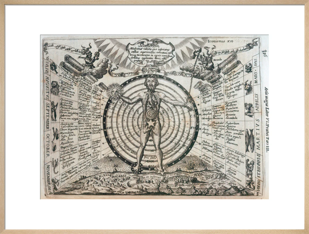 Astrological chart, 1646. - Image 26
