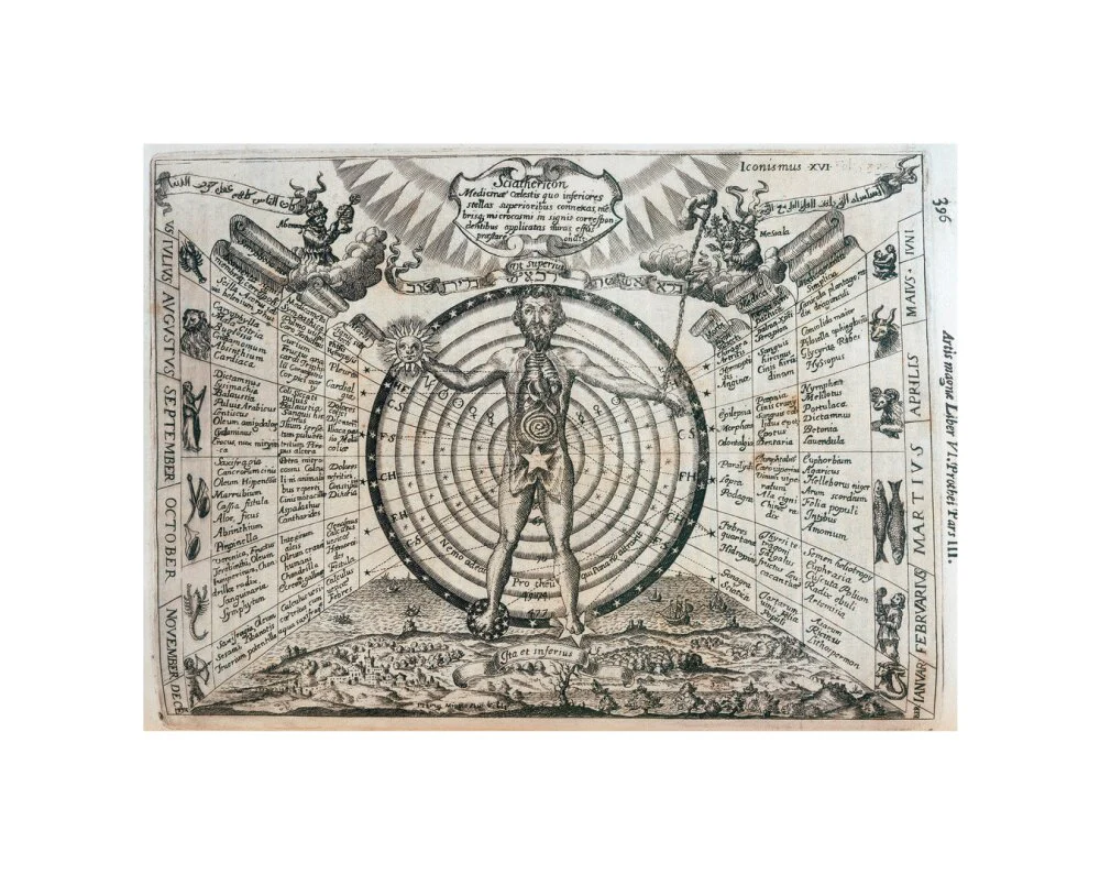 Astrological chart, 1646. - Image 27
