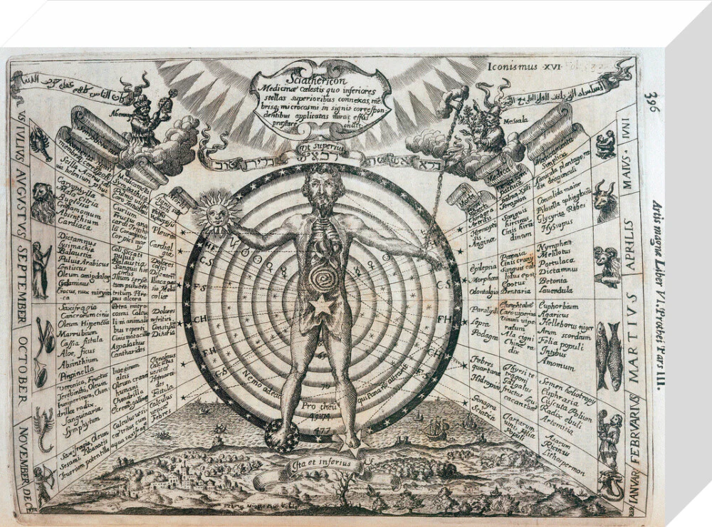 Astrological chart, 1646. - Image 31