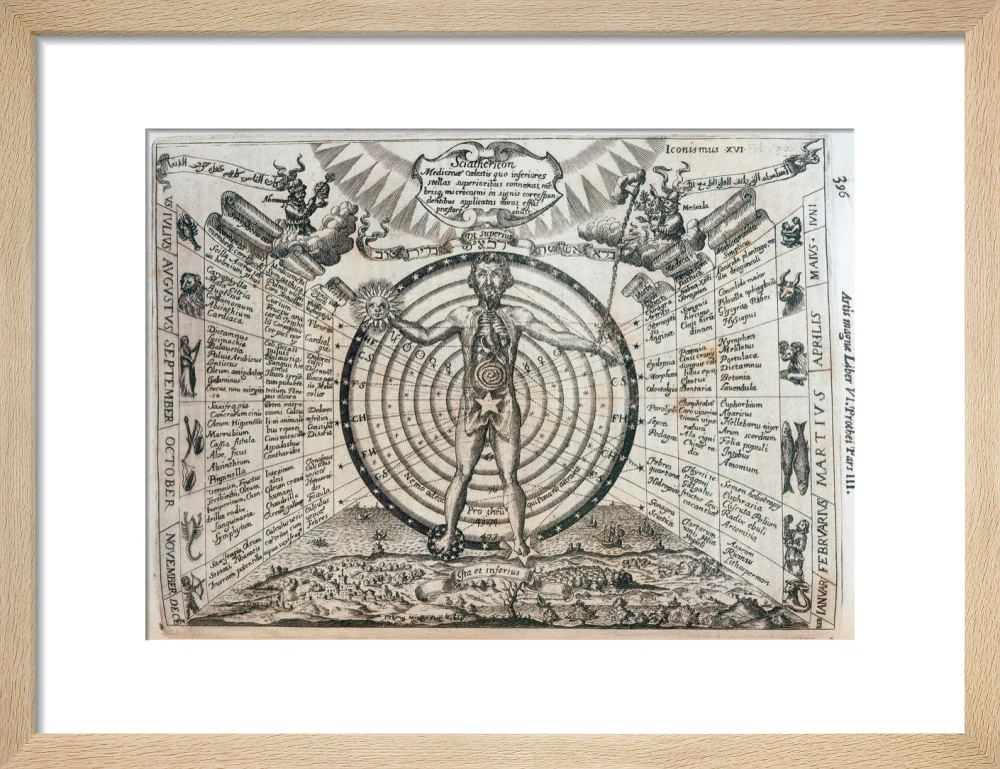 Astrological chart, 1646. - Image 44