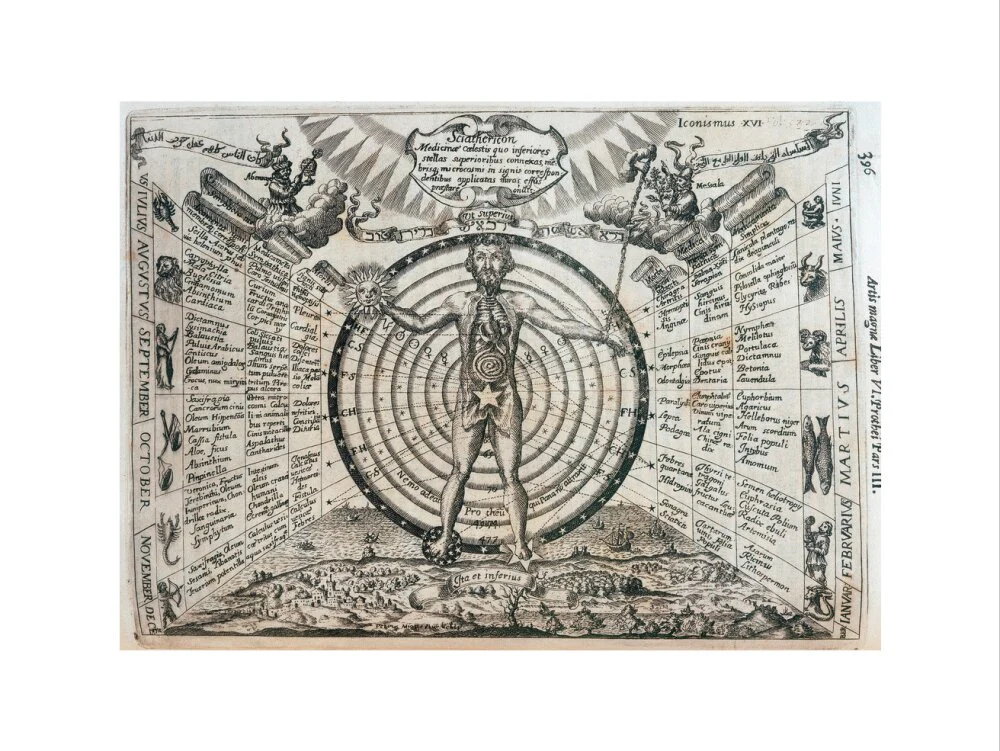 Astrological chart, 1646. - Image 7