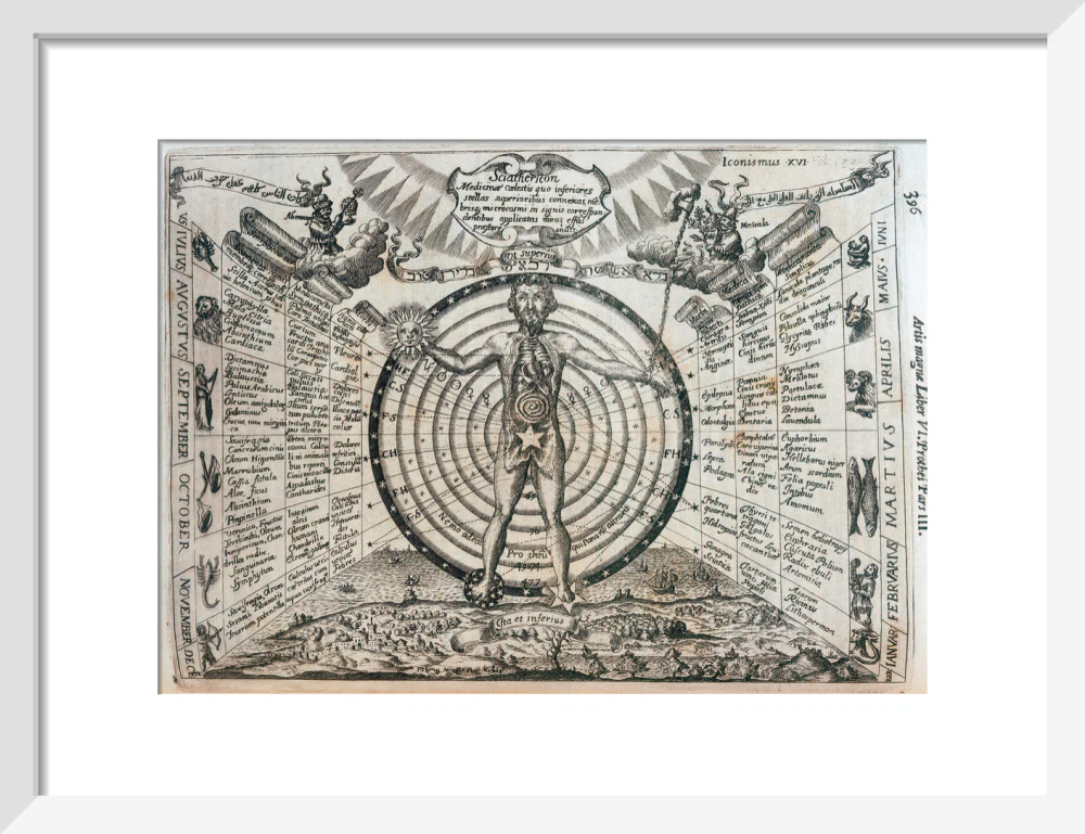 Astrological chart, 1646. - Image 9