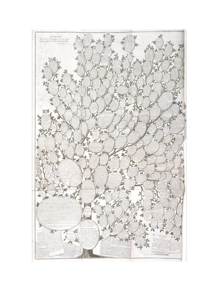 'Tree of knowledge', 1751-1765. - Image 12
