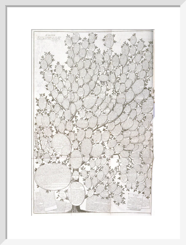 'Tree of knowledge', 1751-1765. - Image 14
