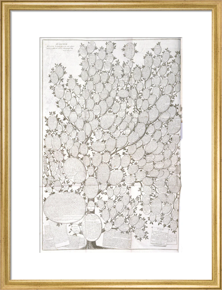 'Tree of knowledge', 1751-1765. - Image 15