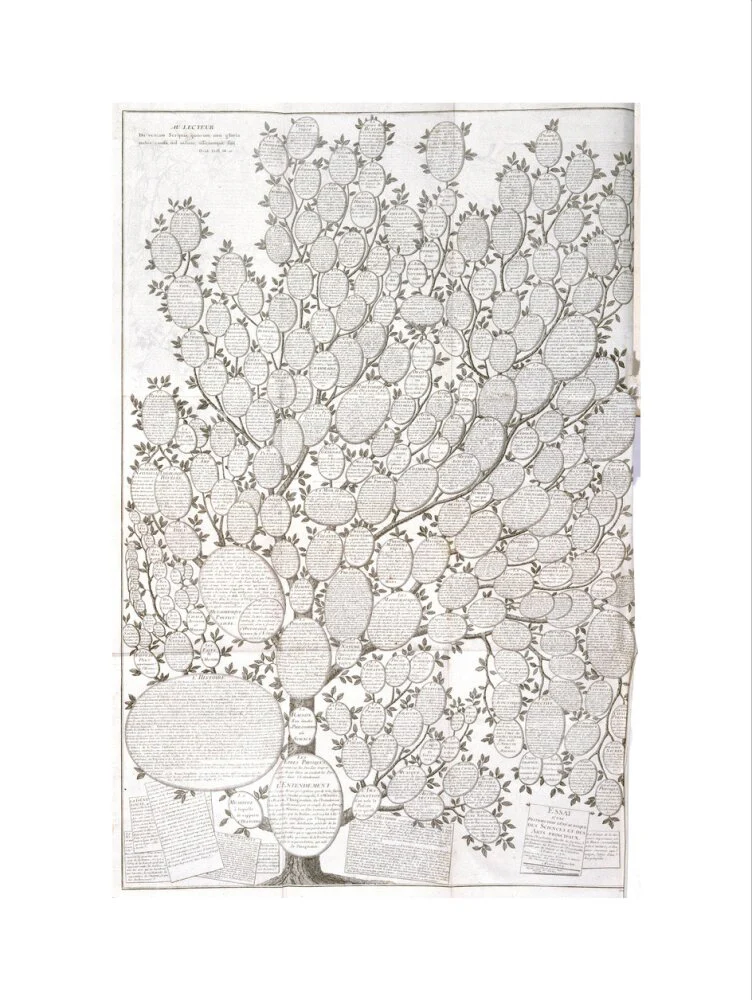 'Tree of knowledge', 1751-1765. - Image 17