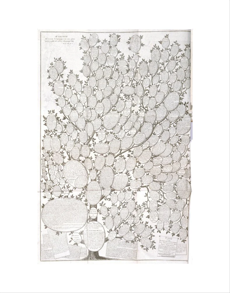 'Tree of knowledge', 1751-1765. - Image 2
