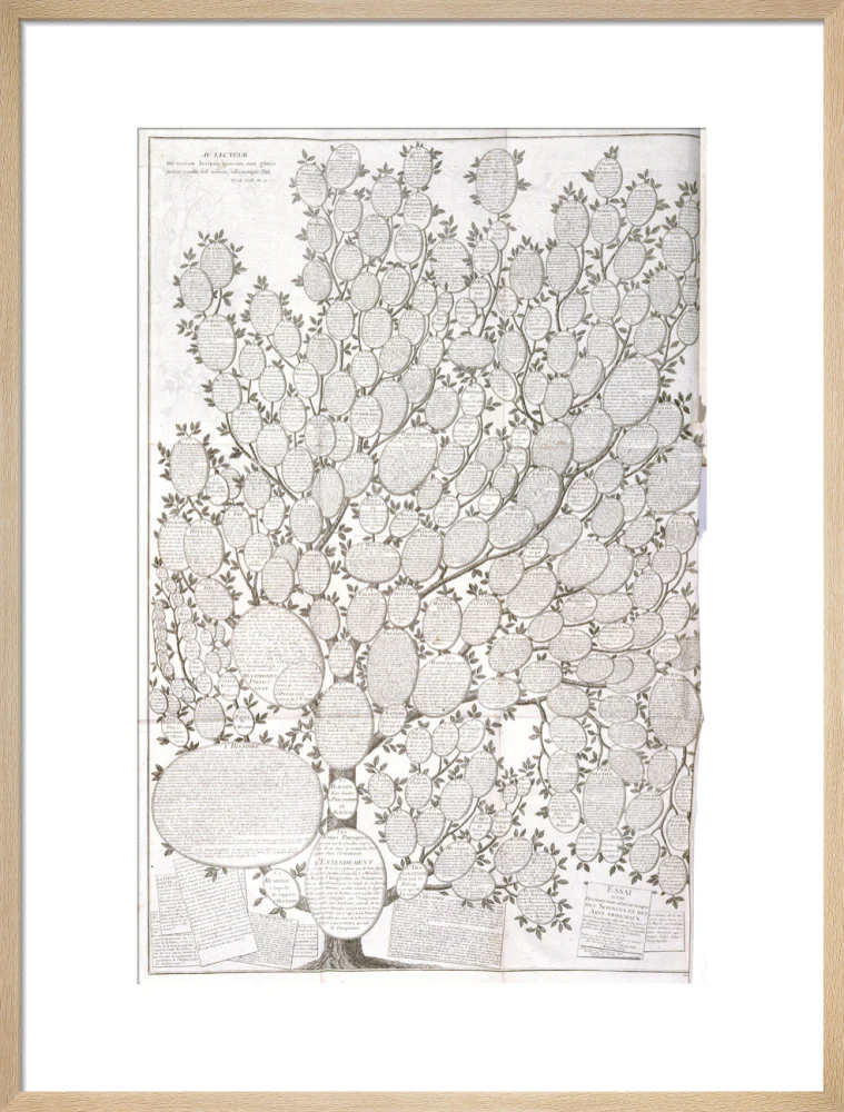 'Tree of knowledge', 1751-1765. - Image 21