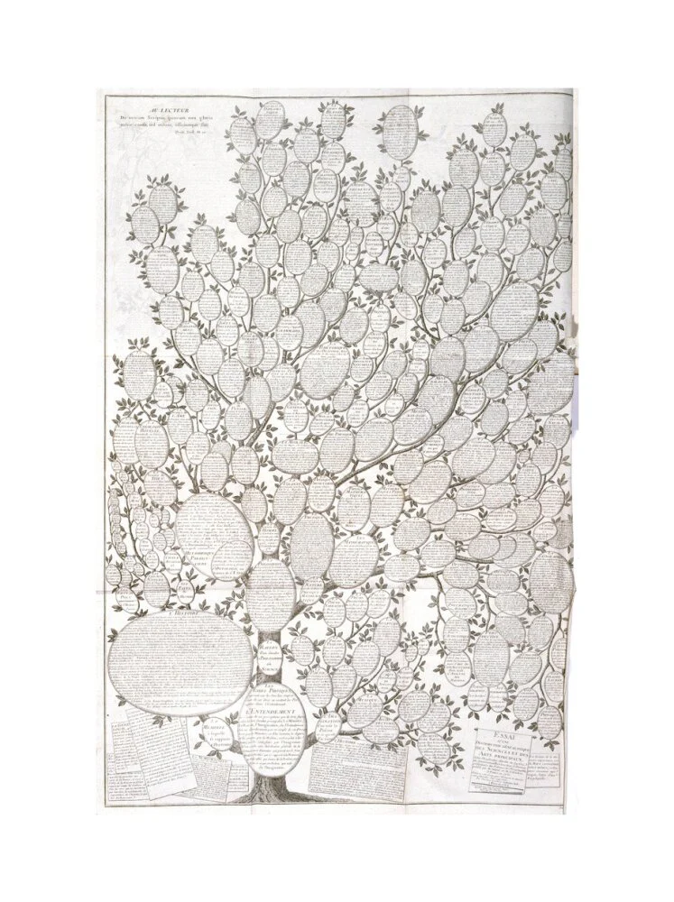 'Tree of knowledge', 1751-1765. - Image 22