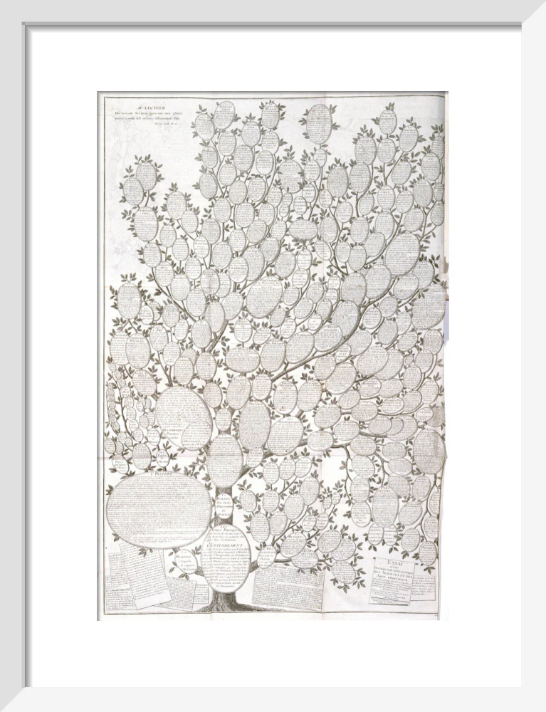 'Tree of knowledge', 1751-1765. - Image 42