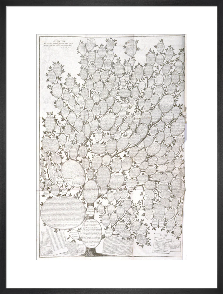 'Tree of knowledge', 1751-1765. - Image 51