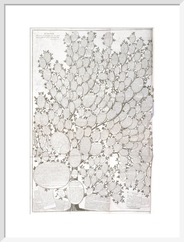 'Tree of knowledge', 1751-1765. - Image 52