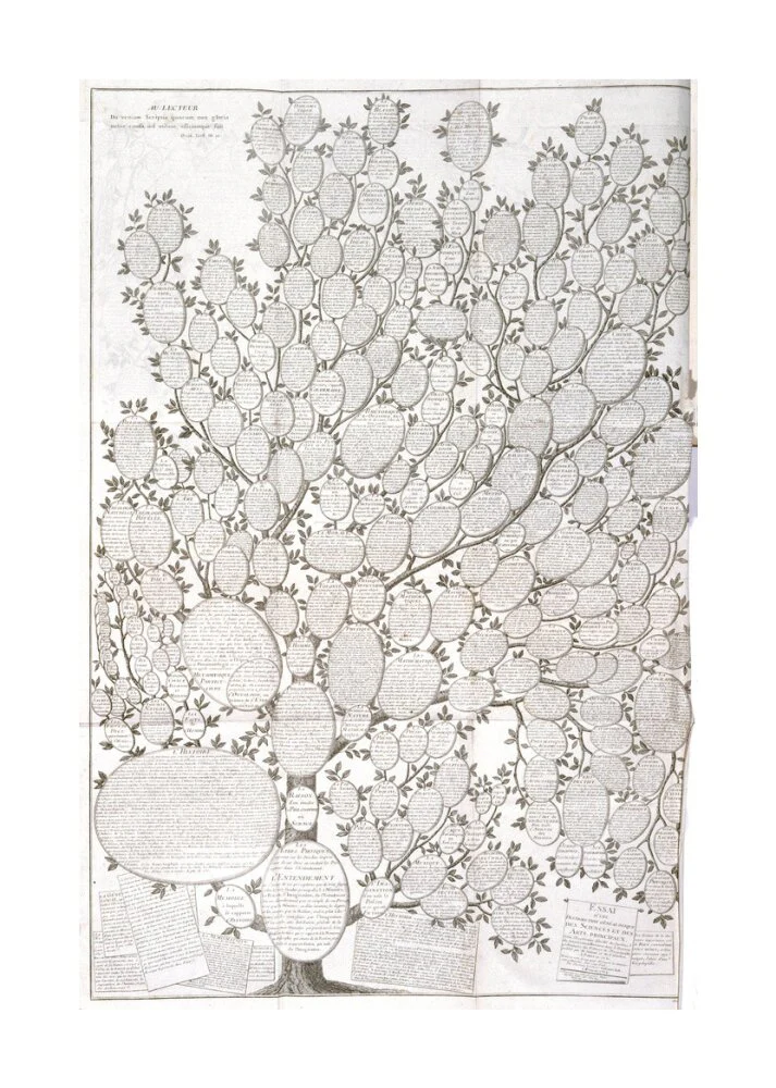 'Tree of knowledge', 1751-1765. - Image 62