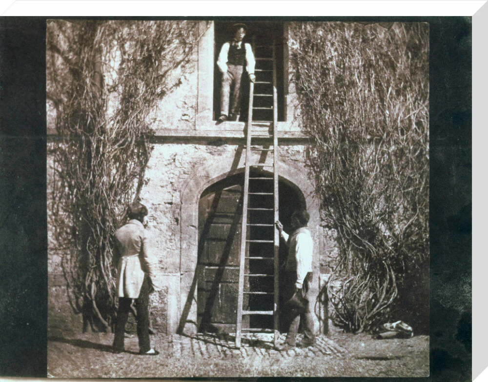 'The Ladder', c 1845. - Image 33