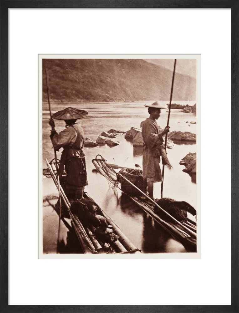 'Fishing With Cormorants', c 1871. - Image 13