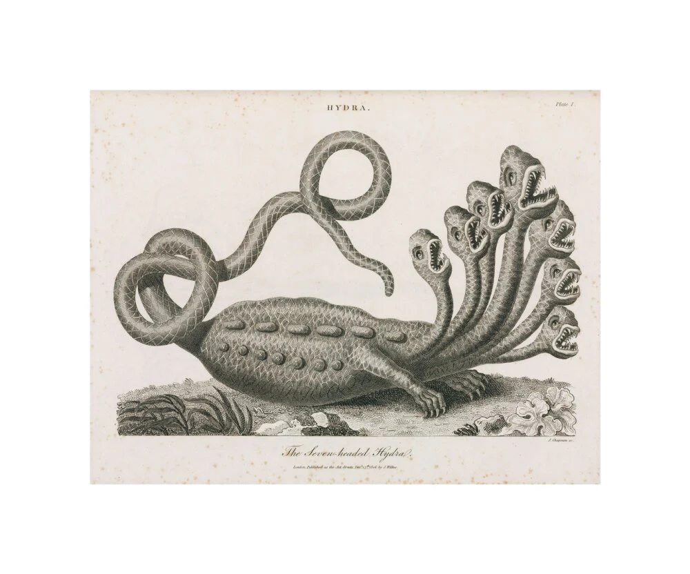 'The Seven-headed Hydra', 1806. - Image 27