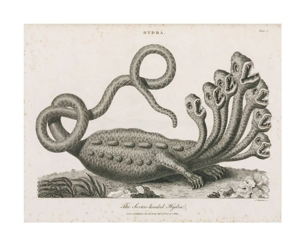 'The Seven-headed Hydra', 1806. - Image 29