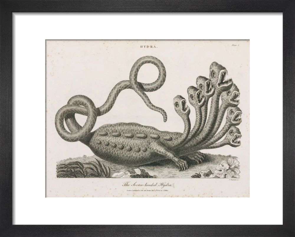 'The Seven-headed Hydra', 1806. - Image 3