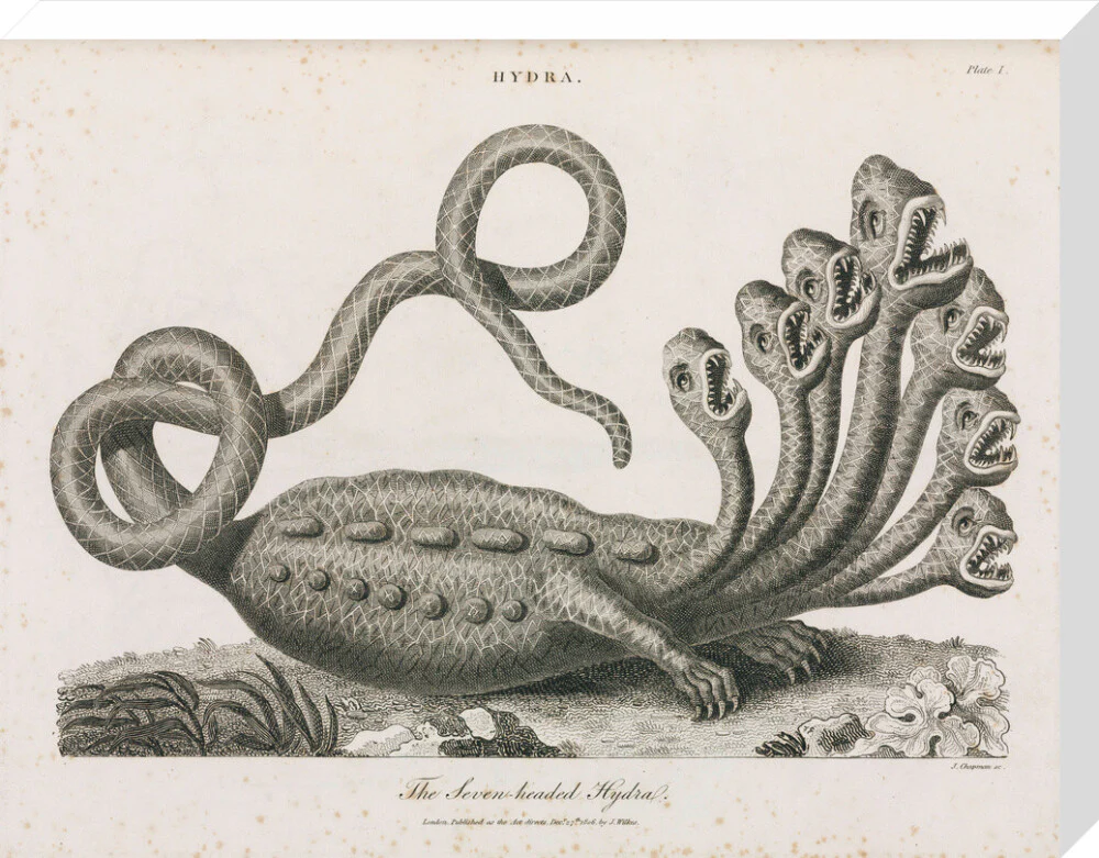 'The Seven-headed Hydra', 1806. - Image 33