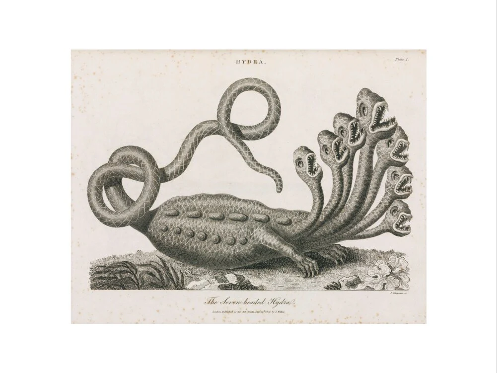 'The Seven-headed Hydra', 1806. - Image 45