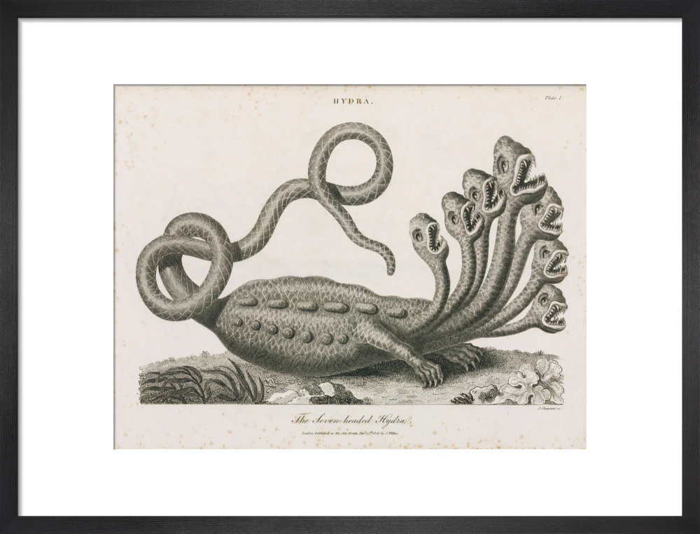 'The Seven-headed Hydra', 1806. - Image 46