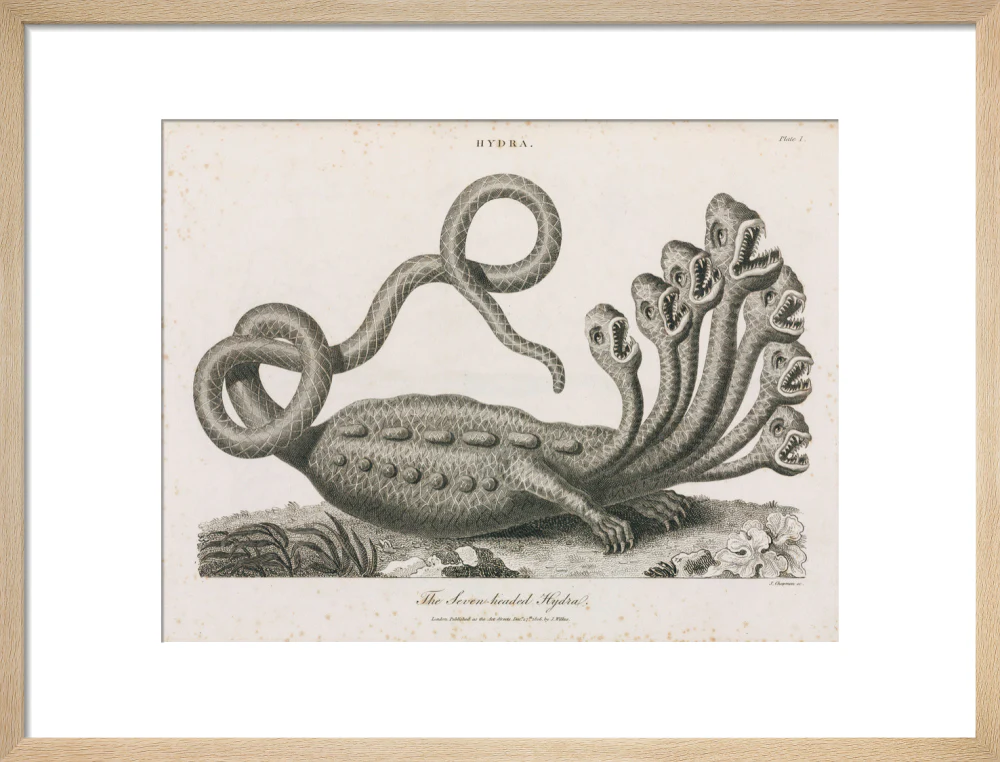 'The Seven-headed Hydra', 1806. - Image 49