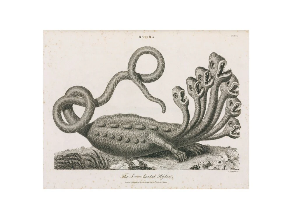 'The Seven-headed Hydra', 1806. - Image 50