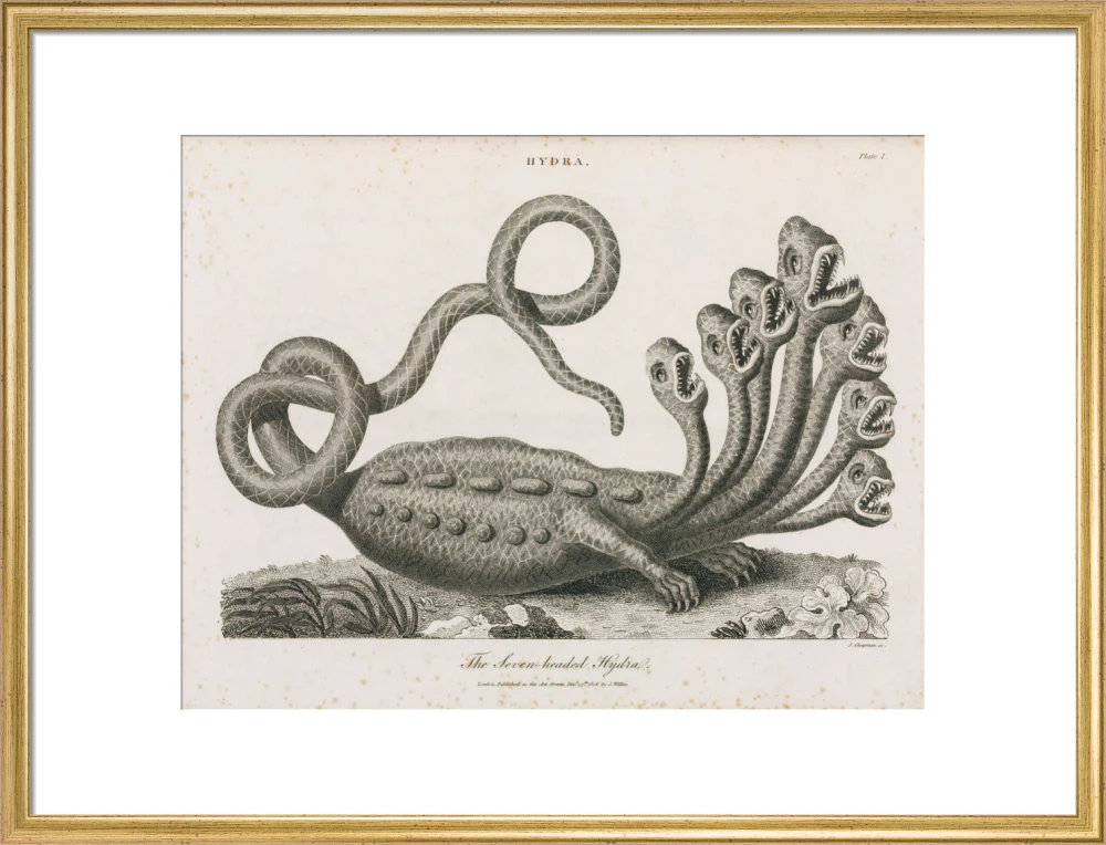 'The Seven-headed Hydra', 1806. - Image 53