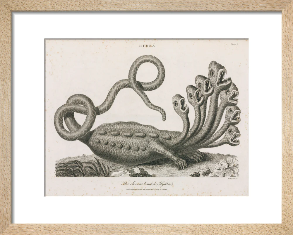 'The Seven-headed Hydra', 1806. - Image 6