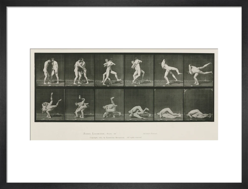 Time-lapse photographs of two men wrestling, 1872-1885. - Image 13