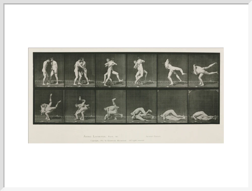 Time-lapse photographs of two men wrestling, 1872-1885. - Image 24