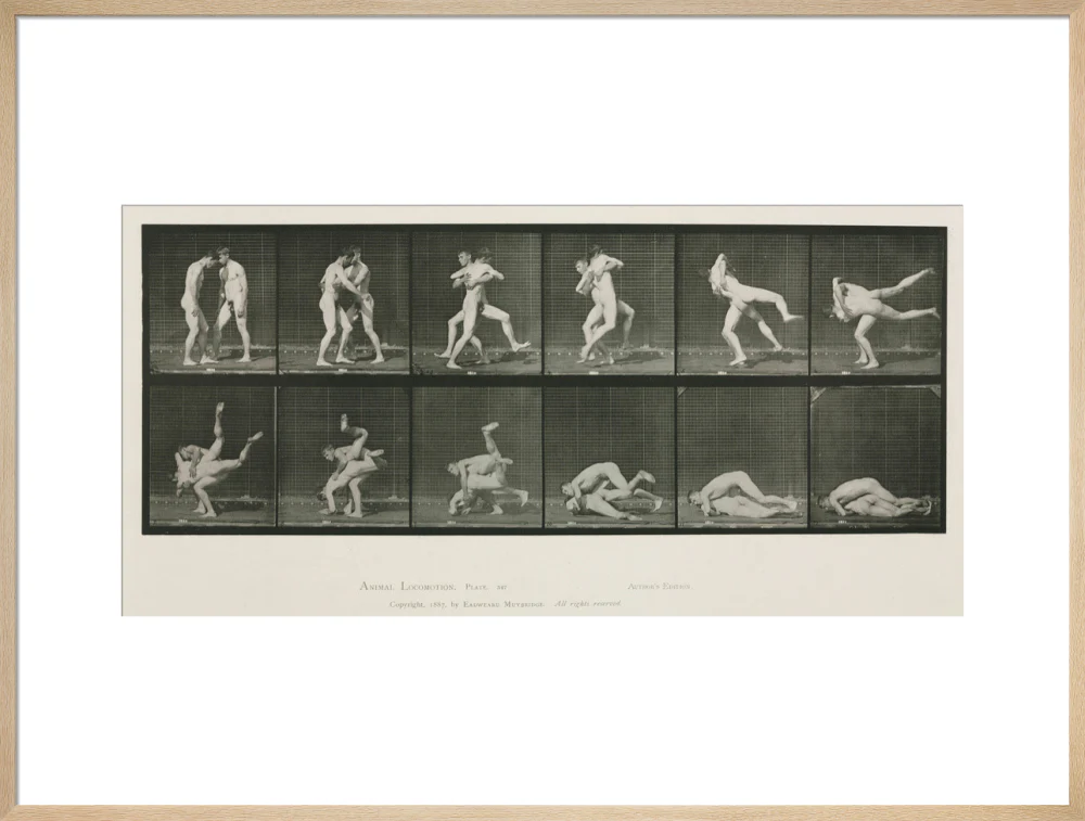 Time-lapse photographs of two men wrestling, 1872-1885. - Image 26