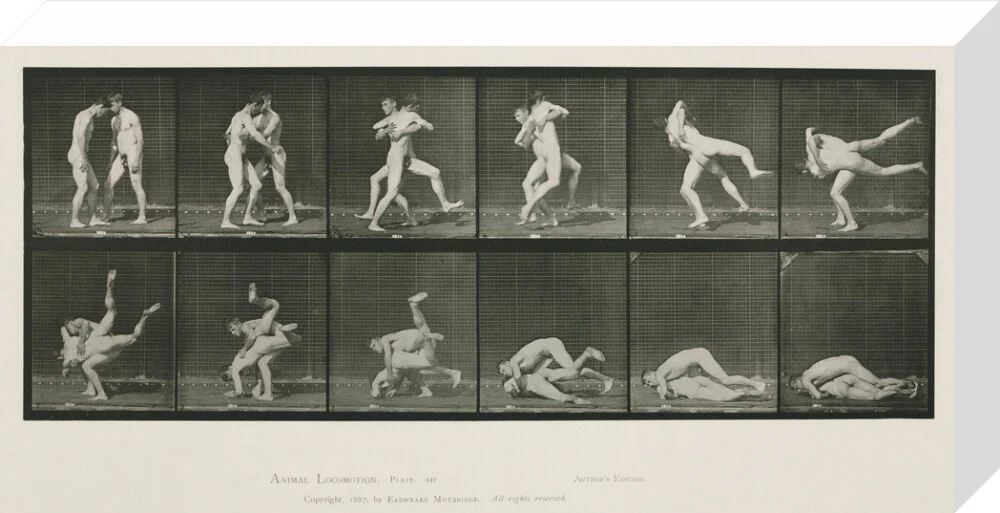 Time-lapse photographs of two men wrestling, 1872-1885. - Image 32