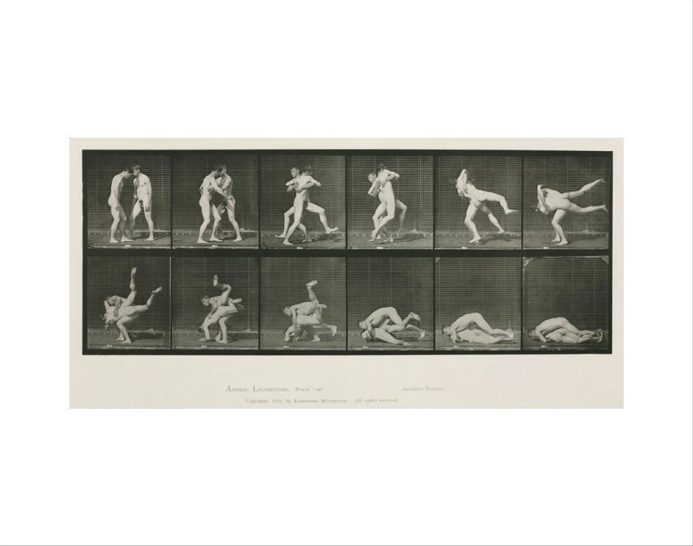 Time-lapse photographs of two men wrestling, 1872-1885. - Image 35
