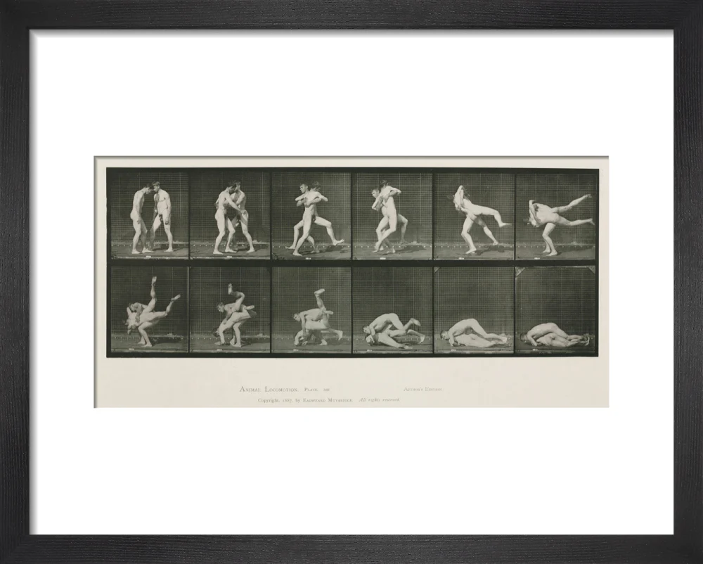 Time-lapse photographs of two men wrestling, 1872-1885. - Image 36