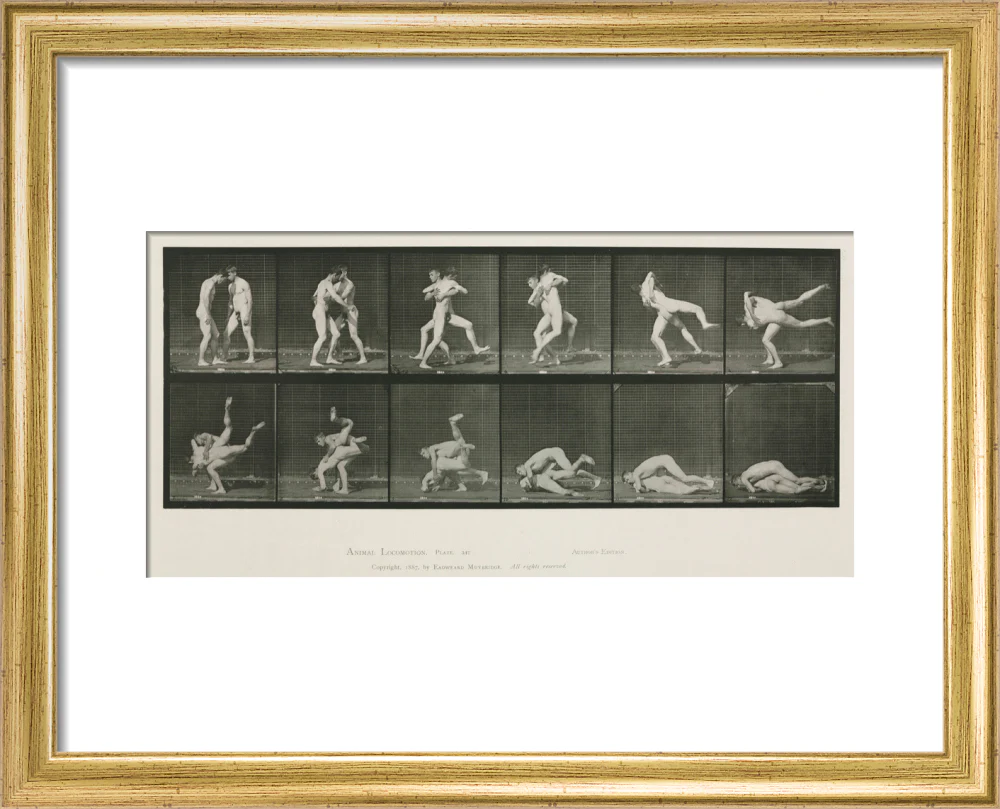 Time-lapse photographs of two men wrestling, 1872-1885. - Image 38