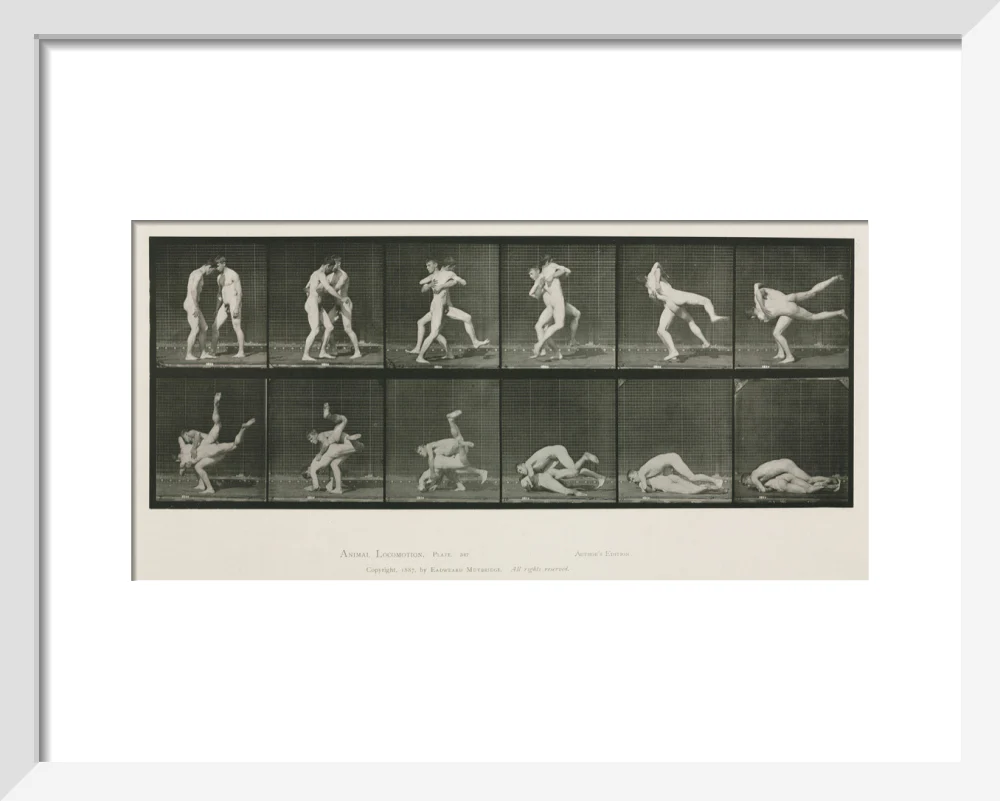 Time-lapse photographs of two men wrestling, 1872-1885. - Image 4