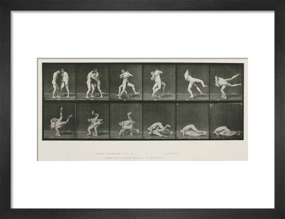 Time-lapse photographs of two men wrestling, 1872-1885. - Image 41