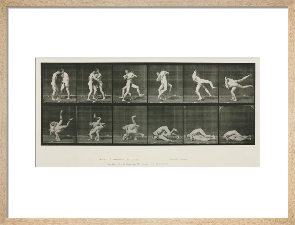 Time-lapse photographs of two men wrestling, 1872-1885. - Image 49