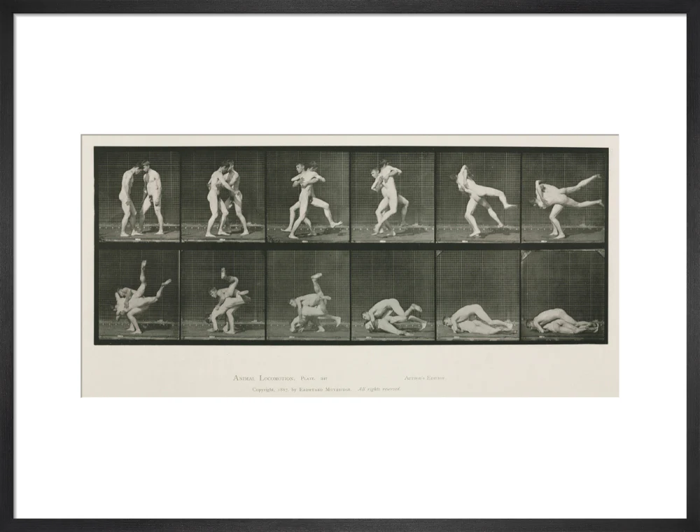 Time-lapse photographs of two men wrestling, 1872-1885. - Image 51
