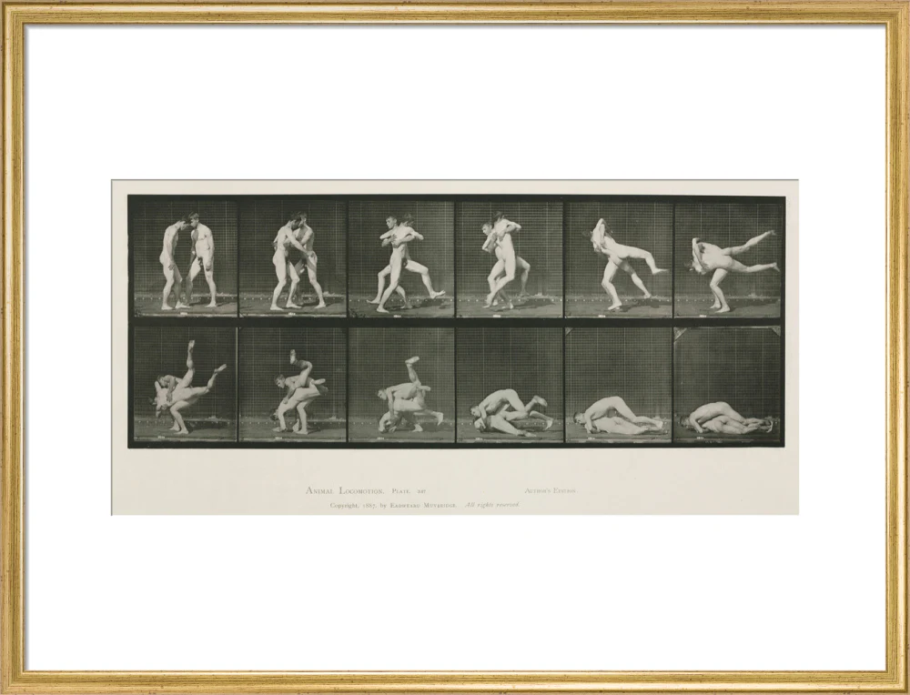 Time-lapse photographs of two men wrestling, 1872-1885. - Image 53