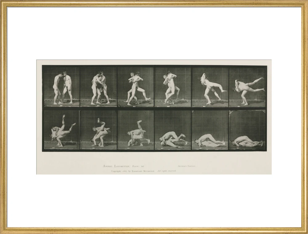 Time-lapse photographs of two men wrestling, 1872-1885. - Image 58
